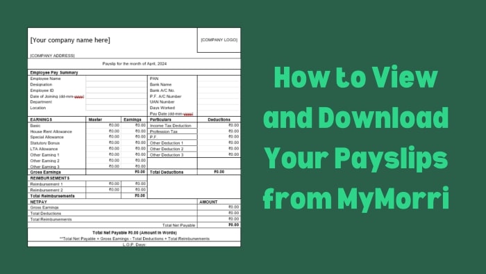 How to-View-and-Download-Your-Payslips-from-MyMorri